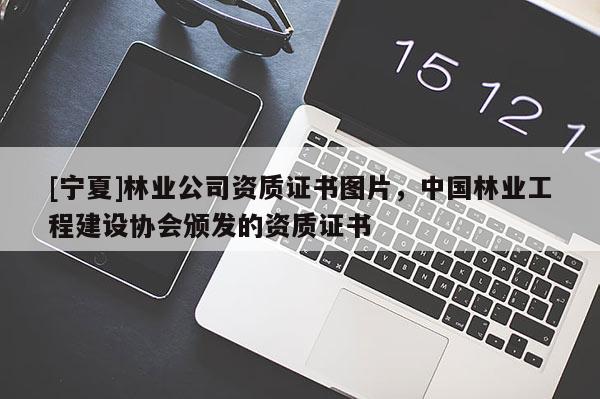 [寧夏]林業(yè)公司資質(zhì)證書圖片，中國林業(yè)工程建設(shè)協(xié)會頒發(fā)的資質(zhì)證書