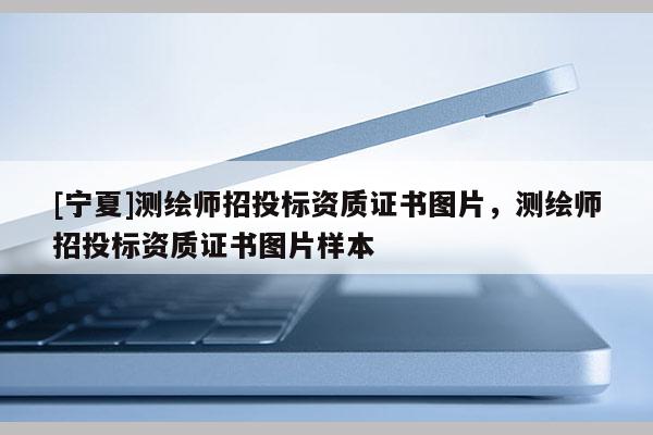 [寧夏]測繪師招投標(biāo)資質(zhì)證書圖片，測繪師招投標(biāo)資質(zhì)證書圖片樣本